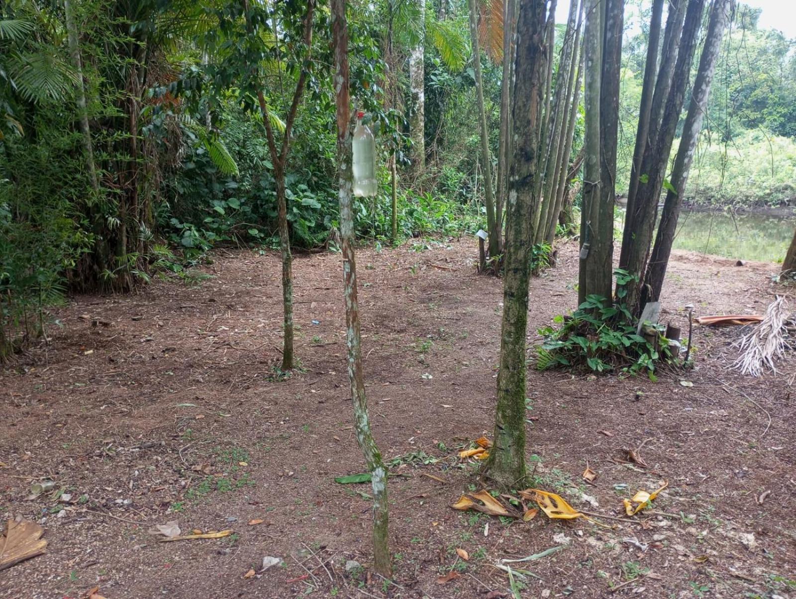 Campsite Monte Hermom Ubatuba
